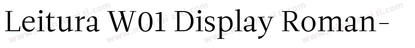 Leitura W01 Display Roman字体转换